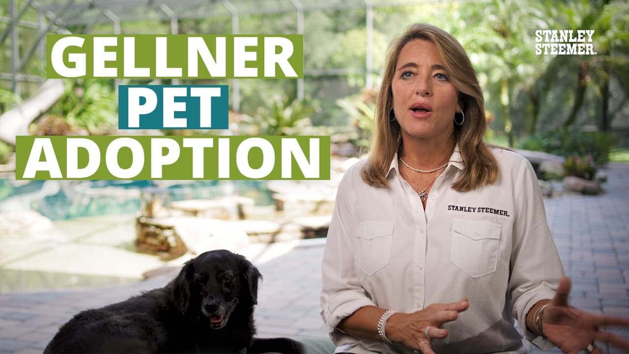 Connie Gellner with black dog next to her in florida home