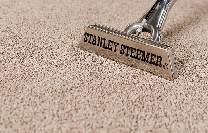 Carpeted floors being cleaned Carpeted floors being cleaned