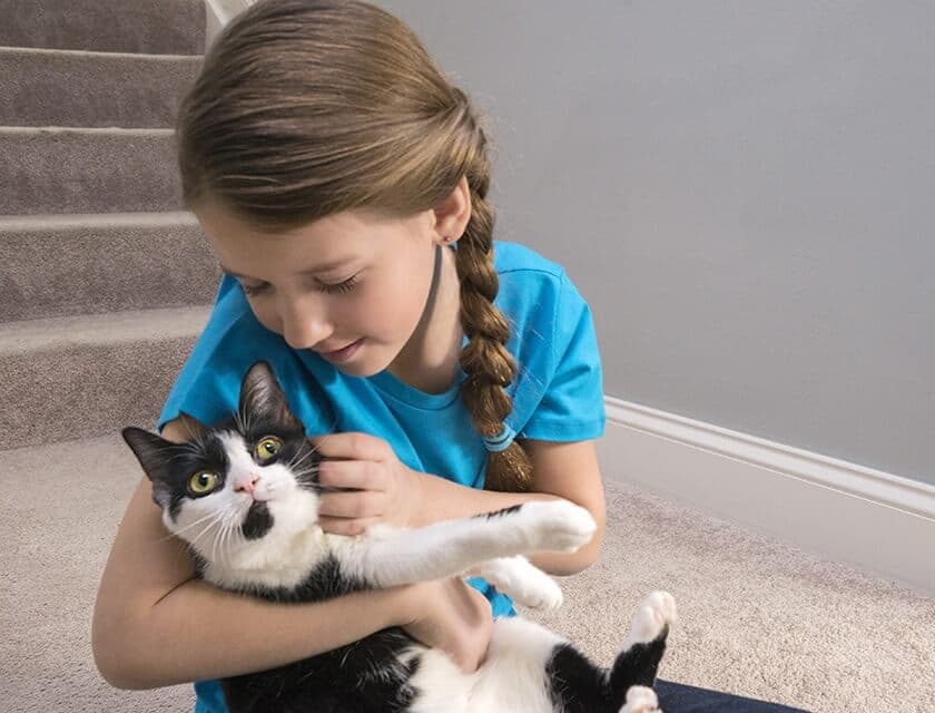 Young girl holding her cat in her lap.