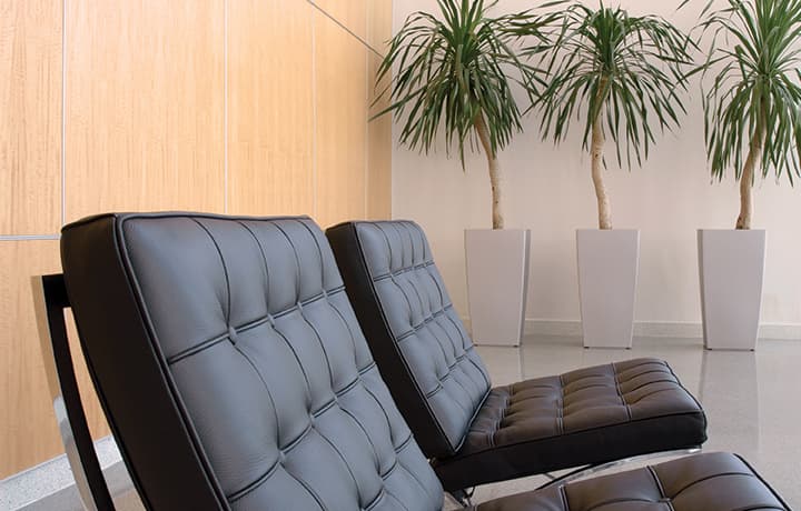 Clean leather furniture in office lobby Clean leather furniture in office lobby