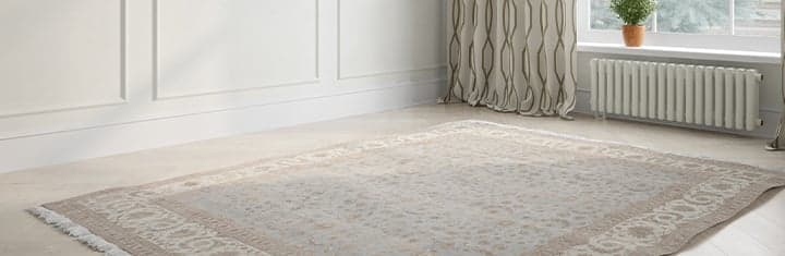Oriental rug in empty living room