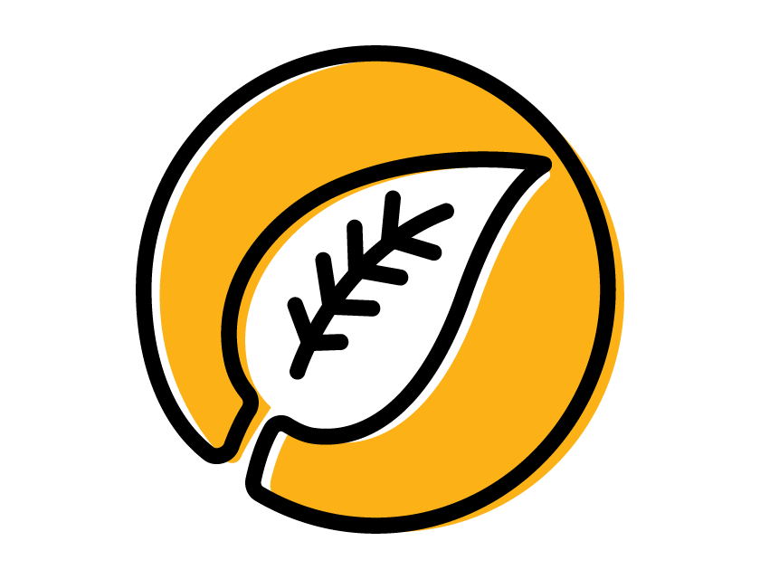 Graphic Design of A Leaf