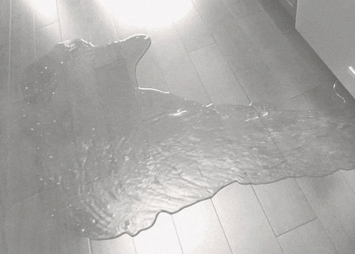 Water-Damage-Restoration-Flooded-Kitchen Water flooding out of a dishwasher on a kitchen floor.