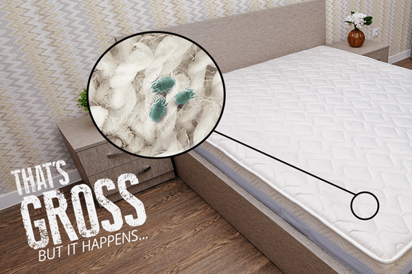 mattress with zoomed in view of dust mites