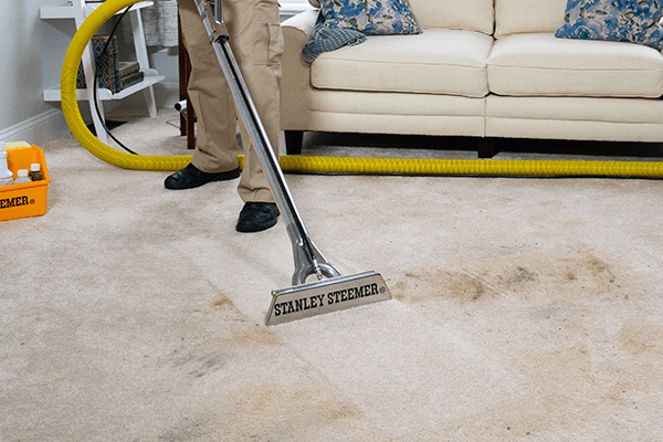 Professional Carpet Cleaning Stanley Steemer deep cleaning light colored carpet with dark stain