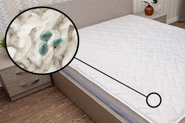 Mattress zoomed in on a depiction of dust mites
