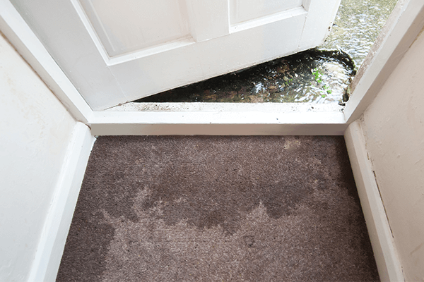 Water flooded on carpet in basement Water flooded on carpet in basement