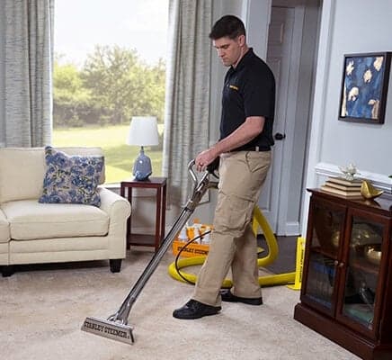 Stanley Steemer Removes Allergens stanley steemer technician cleaning carpet