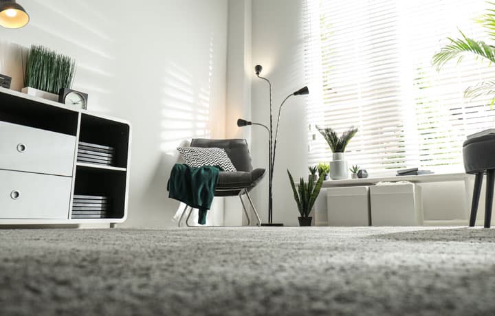 Carpeted Floor in a Home Living Space Carpeted floor in a home living space
