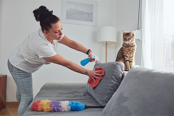 Woman Cleaning Pet Stain From Couch woman spraying gray couch with cat sitting on the back