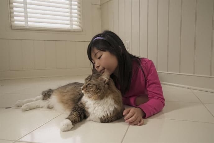 Tile-and-Grout-Cleaning-Girl-and-Cat Young girl laying on a clean tile floor with a cat.